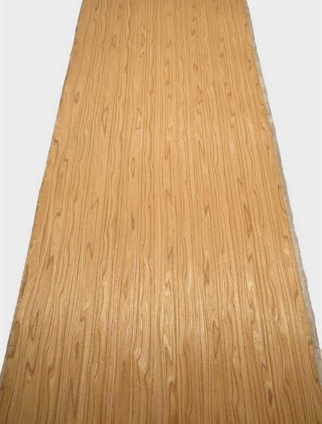 Furnier Olive, gewachsene Maserung